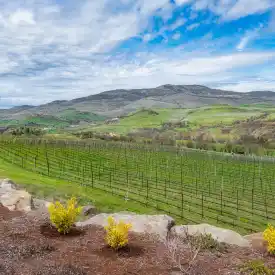 yarra valley chauffeur service